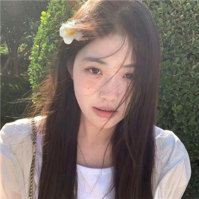冰火凤