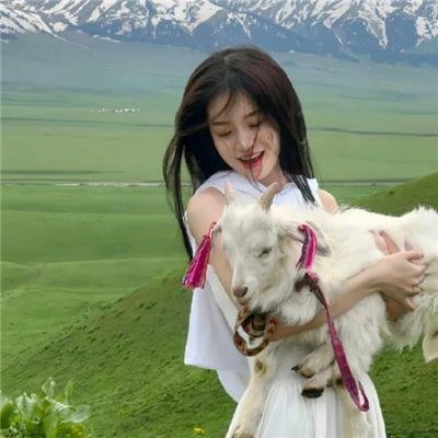 恶搞之家第十六季